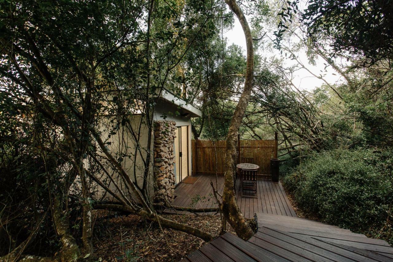 L'Auberge Country Hideaway พอร์ตเอลิซาเบธ ภายนอก รูปภาพ