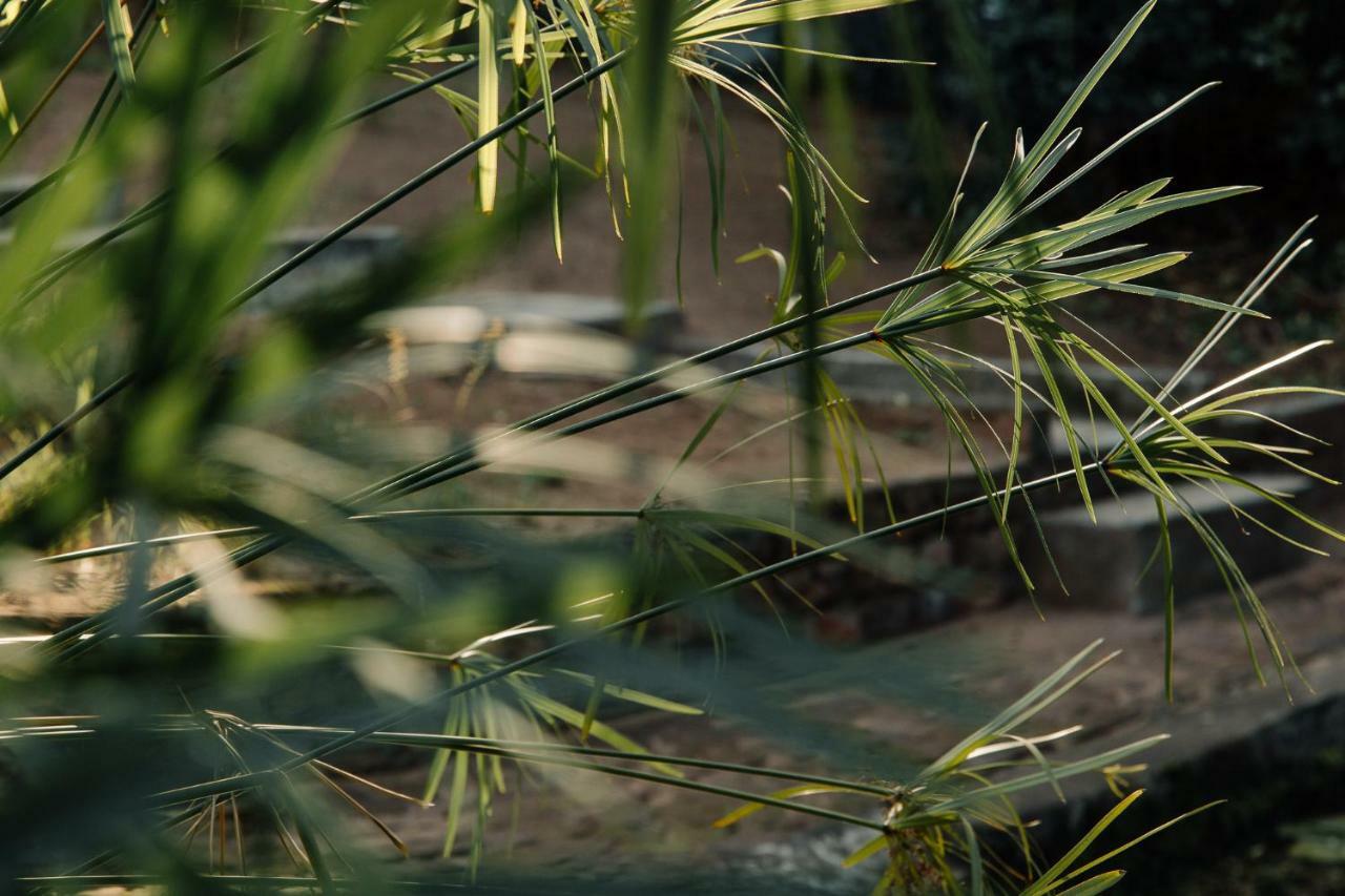 L'Auberge Country Hideaway พอร์ตเอลิซาเบธ ภายนอก รูปภาพ